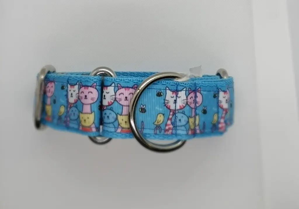 Martingale bleue