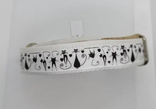 Martingale blanche
