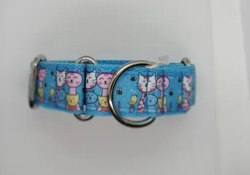 Martingale bleue