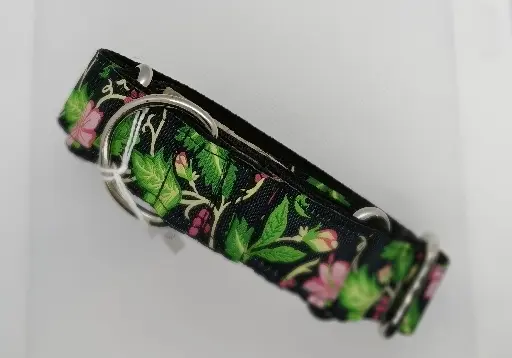 Martingale noire et verte