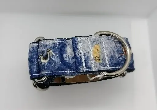 Martingale bleue