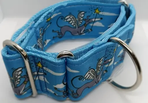 Martingale bleue