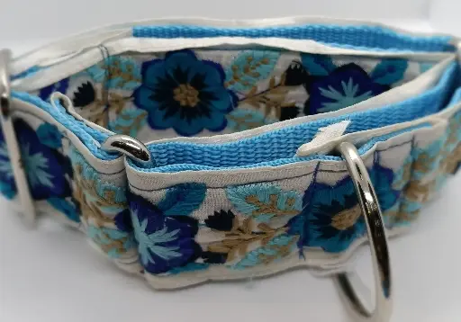 Martingale bleue