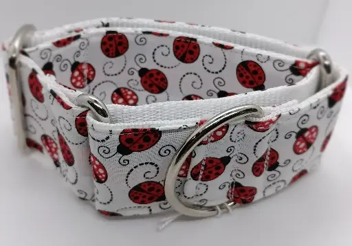 Martingale blanche