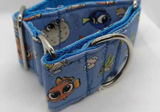 Martingale bleue