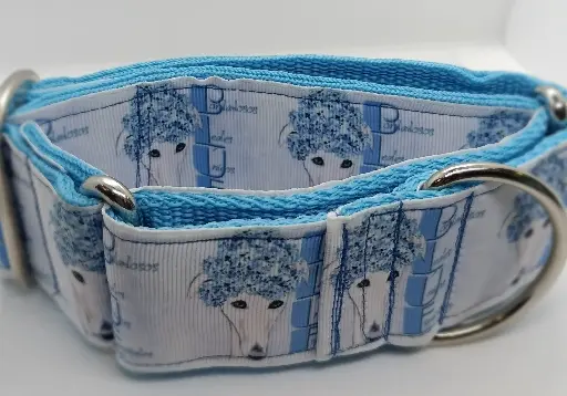 Martingale bleue
