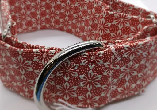 Martingale rouge